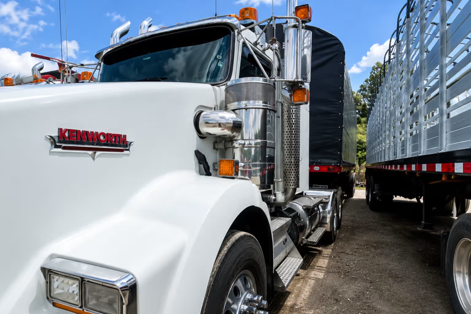 KENWORTH T800 2022 miniatura 2