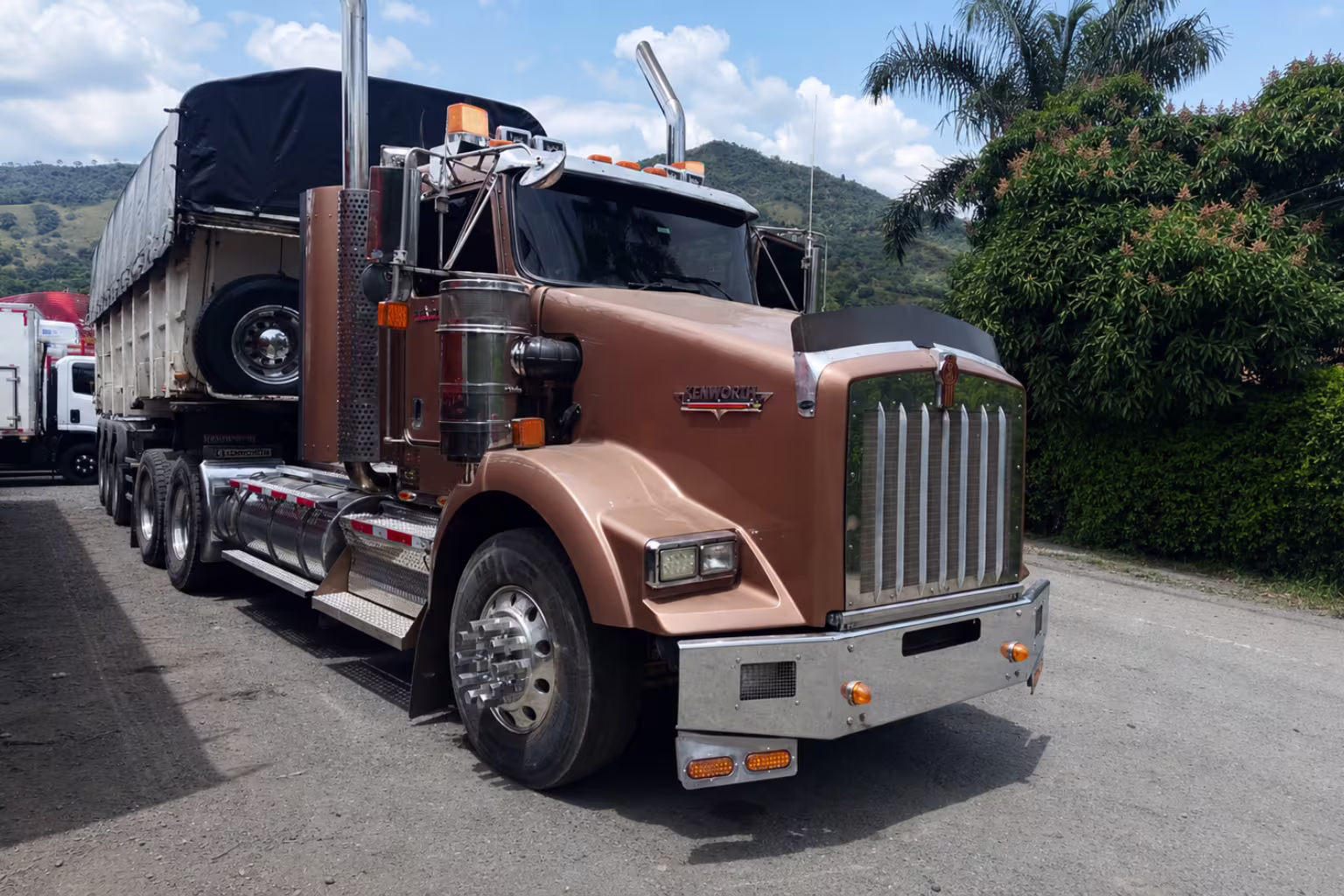 KENWORTH T800 2021